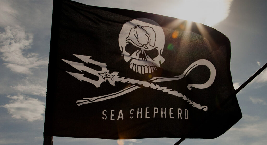 Sea Shepherd France – Ocean conservation movement