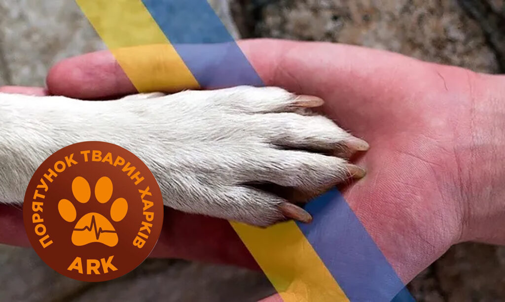 ARK – Animal Rescue Kharkiv